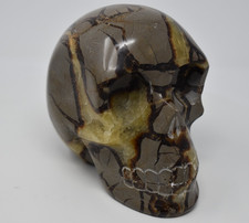 Large Septarian Carved Skull 1898 grams (4 lb 3.0 oz) picture