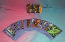Bella Sara Magical Friends Single Rare Card picture