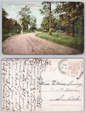 Vintage Postcard St. Paul MN River Boulevard Scenic Road 1913 picture