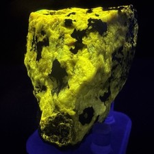 Fine Solid Esperite: Franklin mine, Franklin, Sussex County, New Jersey, USA picture