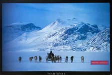 Inuit Hunter with Huskies Inspirational Team Work Poster 24 x 35 picture