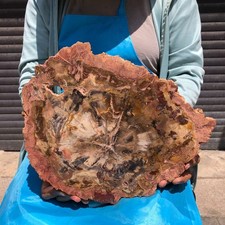 4.59LB Natural Petrified Wood Crystal Fossil Slice Crystal Specimen Healing 6408 picture