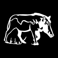 Warthog Wart Hog Pig Decal Sticker White Die Cut Vinyl picture