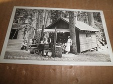 Sequoia  National Park - Housekeeping Under Big Trees  photo postcard 1930's picture