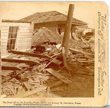 TEXAS, The Dead Left By Receding Flood, Galveston--Stereoview M104 picture
