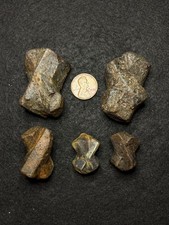 Five Large Staurolite Fairy Cross Crystals Lot 5 North Georgia Natural Specimens picture