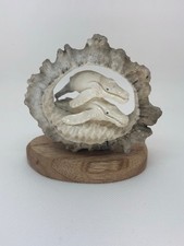 Moose Antler Knuckle Carving - Double Whales  - Brand New -  picture