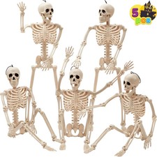 5 PCS Posable Halloween Skeleton Decor 16 Inches, Full Body Posable Joints Hangi picture