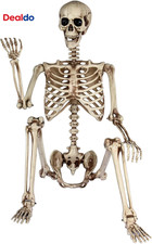 5.4Ft Life Size Skeleton,Poseable Halloween Giant Skeletons Decorations Outdoor, picture