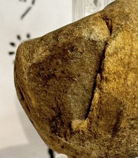 Native American/Man Made Ancient Hand Carved Stone Effigy,  2.6 oz • VA  picture