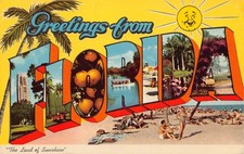 1968 Florida FL Greetings From Large Letter (9C-K1664) Chrome Postcard picture