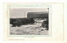 1905 UDB PC: Covered Bridge Over the Falls at Machias, Maine picture
