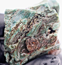 Blue Green Hampton Butte Jasperized Petrified Wood Rough Natural Raw Rare 2.30oz picture