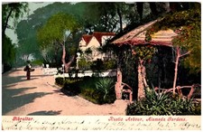 Rustic Arbour Alameda Gardens Gibraltar 1911 Postcard UDB Hand Tinted Photo picture