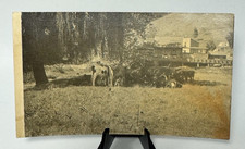 McDonalds Mill Virginia Photograph Cattle Meadow Saw Mill Pre-1920 Scene picture