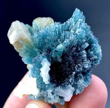 116 Carat Bunch Of Indicolite Tourmaline Crystal Specimen From Afghanistan  picture