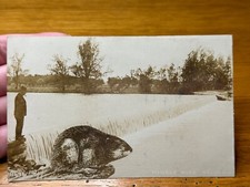 Antique Monroe Michigan MI Exaggerated Muskrat Man Pipe RPPC Real Photo Postcard picture