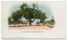 Pasadena CA Orange Grove Avenue Private Mailing Card Postcard California picture