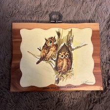 VTG 1970’s Decoupage Owl Cedar Wood Plaque J O’Brien Smoke Hole Caverns WV picture