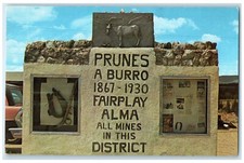 c1960 Monument To Prunes Burro Championship Race Fairplay Colorado CO Postcard picture