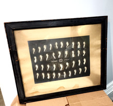 Antique 1908 Fraternity XI Chapter Composite Photo Framed Vintage Greek History picture