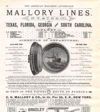 1888 MALLORY LINES ad Steamship Fleet Galveston TX, Port Royal SC, Brunswick GA picture