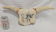 Texas Longhorn hand-sketched onto a real skull signed artist T. McMurray picture
