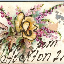 c1910s Stockton, IL Glitter Postcard Greeting Flower Acorn Mt Carroll Illinois picture