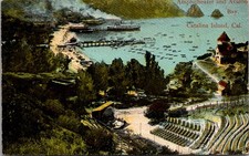 Amphitheater & Avalon Bay The Rieder Catalina Island CA Vintage Postcard TP13-25 picture