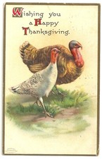 Thanksgiving Postcard 1900s Two Turkey Greetings Wishes VTG Series No 51496   picture