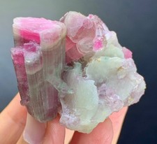 64 Gm Bi-Pink Tourmaline Terminated Crystals on Matrix Lipodolite, Albite—AFG picture