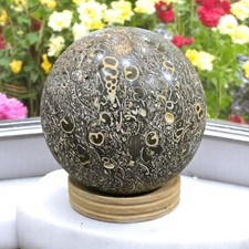 Large Fossiled Turritella Shell Crystal Sphere Handmade Crystal Home OfficeDecor picture