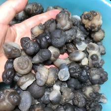 1000g 100pcs Bonsai Suiseki- Gobi Agate Eyes Stone-Rare Stunning Viewing picture