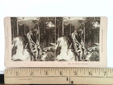 The Hunter's Paradise Stereoview B. W. Kilburn 1899 Hunting New Hampshire picture