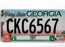 GEORGIA passenger 2019 license plate 