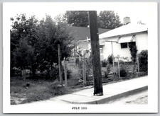 Residential Scene Cat 1960s Snapshot Photograph Americana Found Photo picture