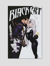 Black Cat & The Punisher Giclee Print Poster 11x17 Wall Art picture