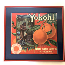 Vtg Original Yokohl Oranges Fruit Crate Label Framed Exeter Native Indian Fish picture