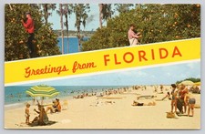 Greetings from Florida Orange Groves Beach Scene Vintage Chrome Postcard 1970s picture