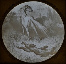 ANTIQUE Magic Lantern Slide LA FONTAINES FABLES HORSE C1890 GUSTAVE DORE DRAWING picture