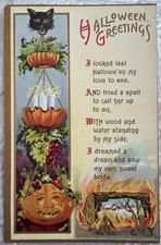 Vintage 1911 Halloween Greetings Postcard Black Cat Planter Florence Bamberger picture