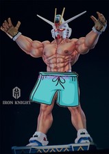 Freedom Fighter Model Pre-order IRON KNIGHT Studio 1/6 Scale EX Ver Replaceable picture