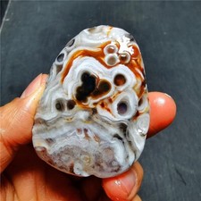 Rare84.3G Natural Gobi  ragon patterned Agate Madagascar 65A48+ picture