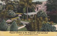  Postcard Tropical Gardens Ridgewood Hotel and Grill Daytona Beach FL  picture