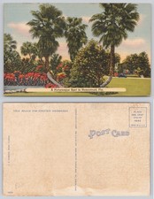 Homestead FL Picturesque Spot Linen Postcard Tichnor Bros Vintage Florida picture