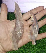 Large Fancy Agate Arrowheads 5.5