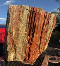 ☘️RR⛏️: Solid Agate W/Multi-colored Druzy Arizona Petrified Wood 83 Lbs 🌈 picture