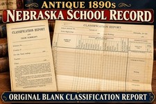 VTG Antique 1890s Nebraska School Classification Report Ephemera Blank Document picture
