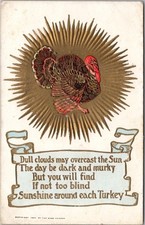 c1910s THANKSGIVING Postcard Turkey