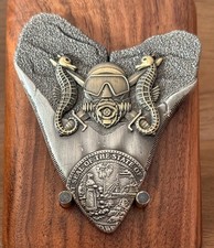 North Port Police Dive Team Shark Tooth Shaped Challenge Coin M#22 picture